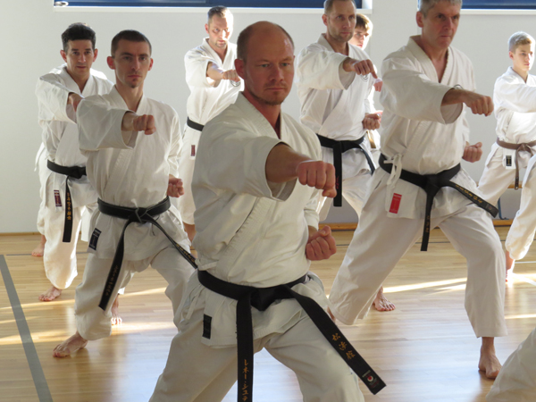 Karate Erwachsene