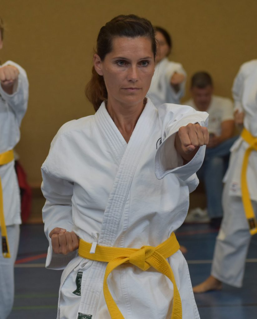 Karate Einsteiger